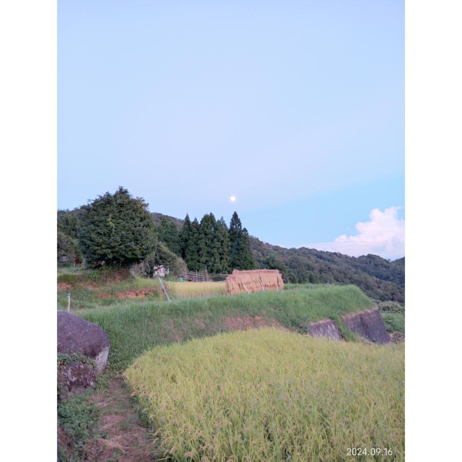 ＜霜尾共造農園＞京都　西方寺平　”棚田米”特別栽培米「コシヒカリ」（農薬不使用）5kgx2（計10kg）【6ヵ月定期便】