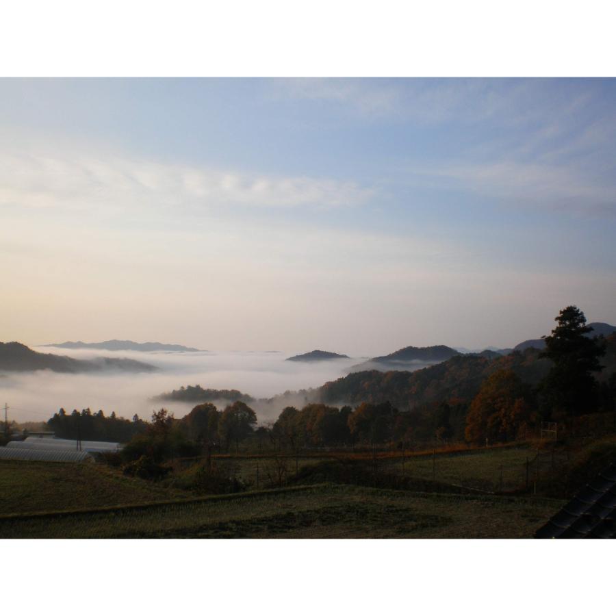 ＜霜尾共造農園＞京都　西方寺平　”棚田米”特別栽培米「コシヒカリ」（農薬不使用）5kgx2（計10kg）【6ヵ月定期便】