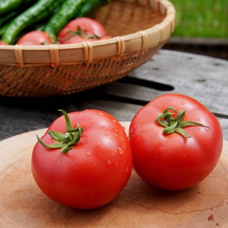 ＜嵯峨根農園＞京都産「トマト」2kg（８～12個）