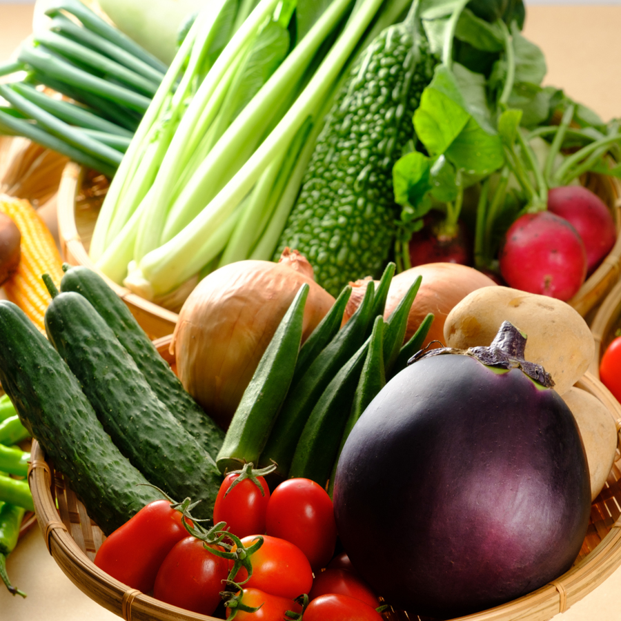 季節の「京野菜」8～10種類セット 栽培期間中農薬・化学肥料不使用