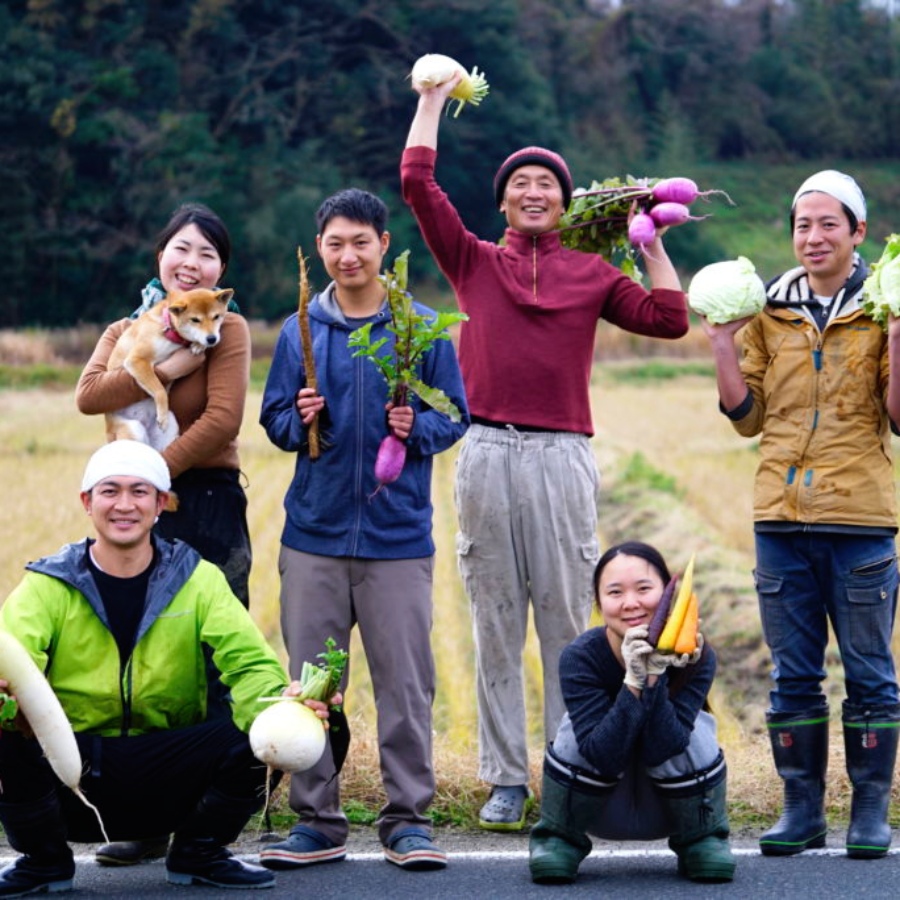 季節の「京野菜」8～10種類セット 栽培期間中農薬・化学肥料不使用