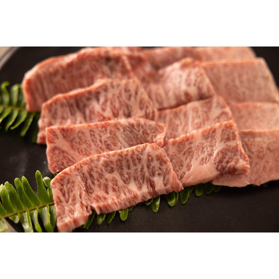 <京都丹波牧場>”長期肥育”黒毛和牛「平井牛」A5ランク霜降り焼肉用(三角バラ・バラ)各250gx2(計500g)