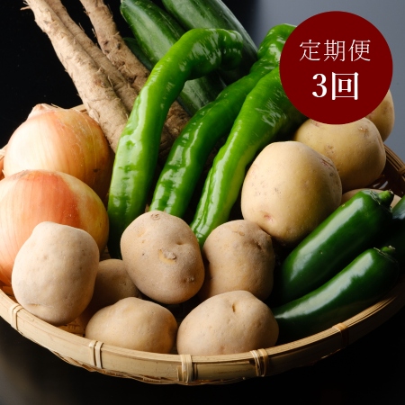 （京都丹後産）野菜詰め合わせセット　3か月定期便（7月・9月・11月）２～3人用(7月開始)