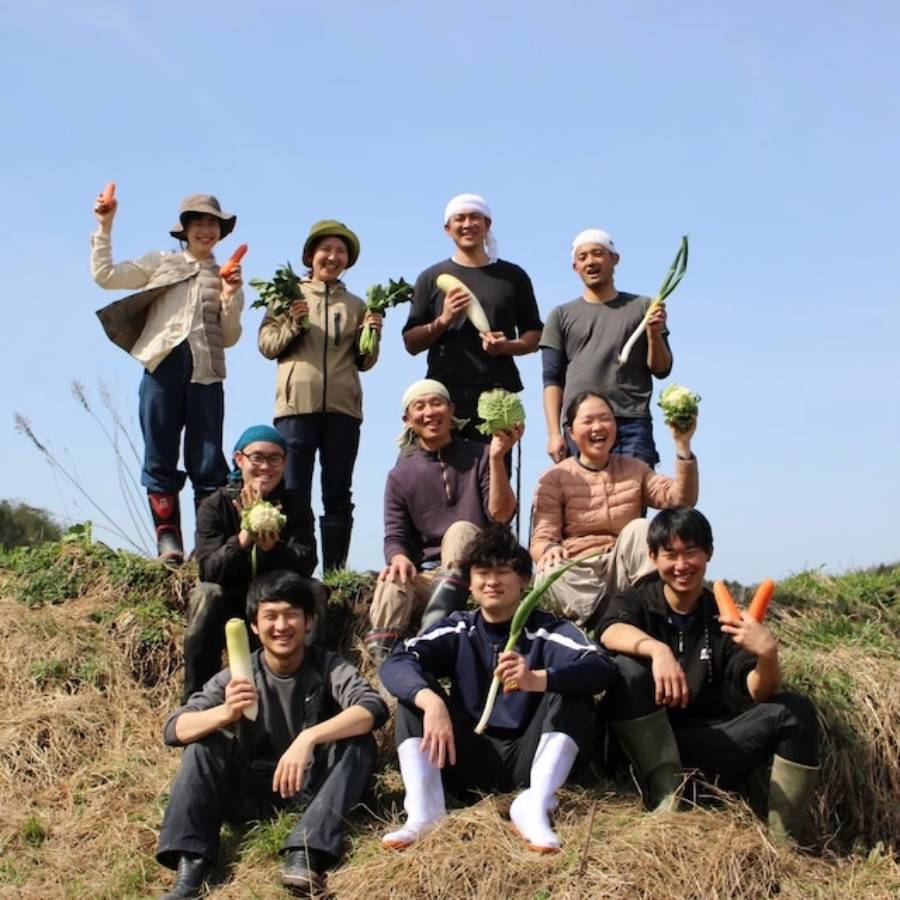 ＜てんとうむしばたけ＞京丹後産　有機野菜セット　2人用