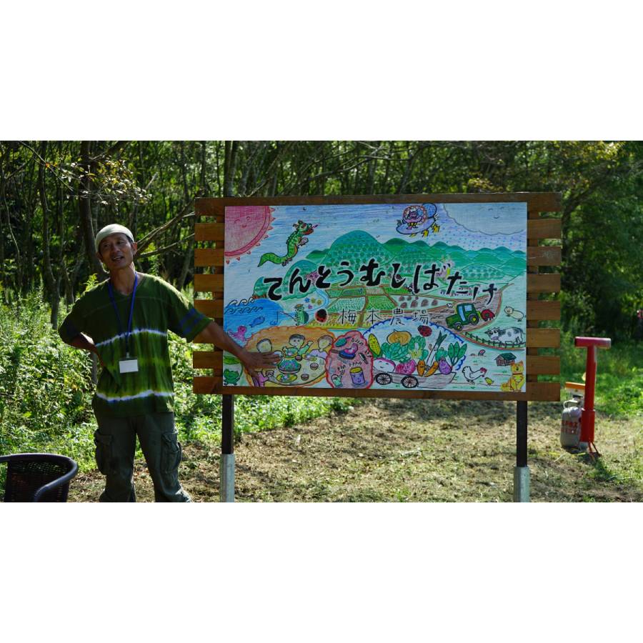 ＜てんとうむしばたけ＞京丹後産　有機野菜セット　4人用