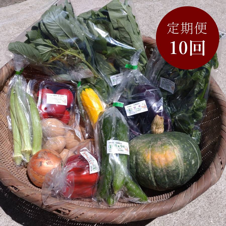 ＜てんとうむしばたけ＞10回定期便　京丹後産　有機野菜セット　4人用(5月開始)