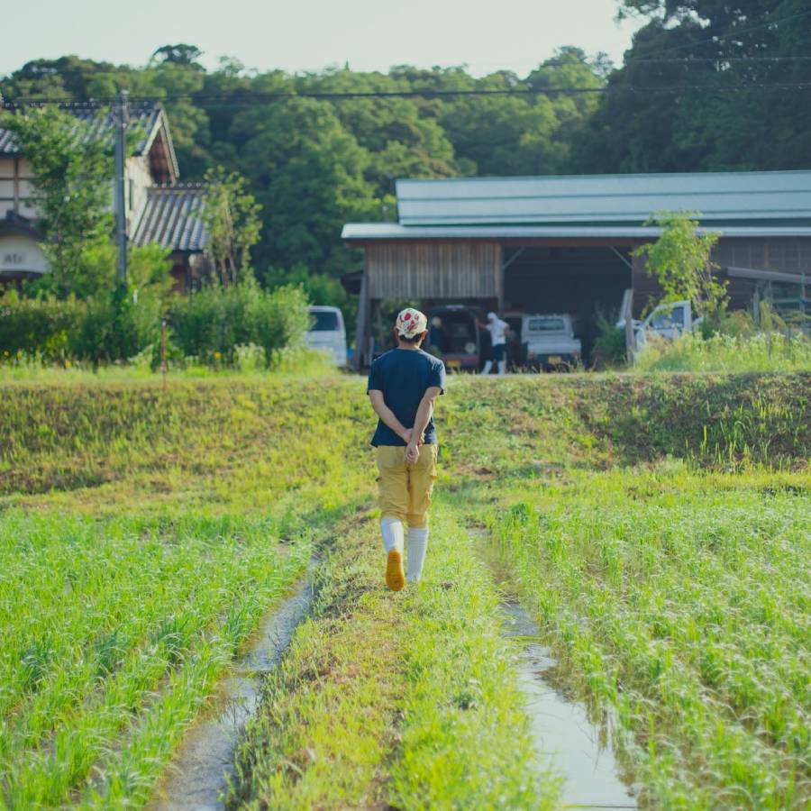 ＜てんとうむしばたけ＞10回定期便　京丹後産　有機野菜セット　4人用(5月開始)