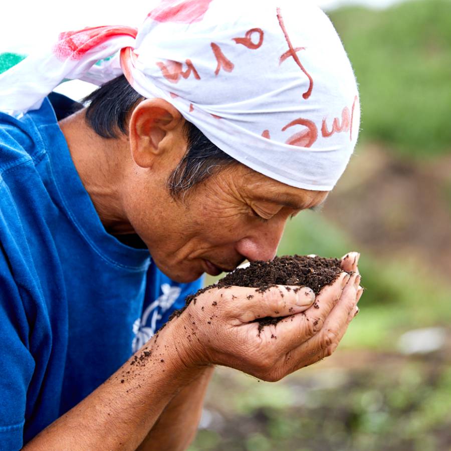 ＜てんとうむしばたけ＞10回定期便　京丹後産　有機野菜セット　4人用(5月開始)