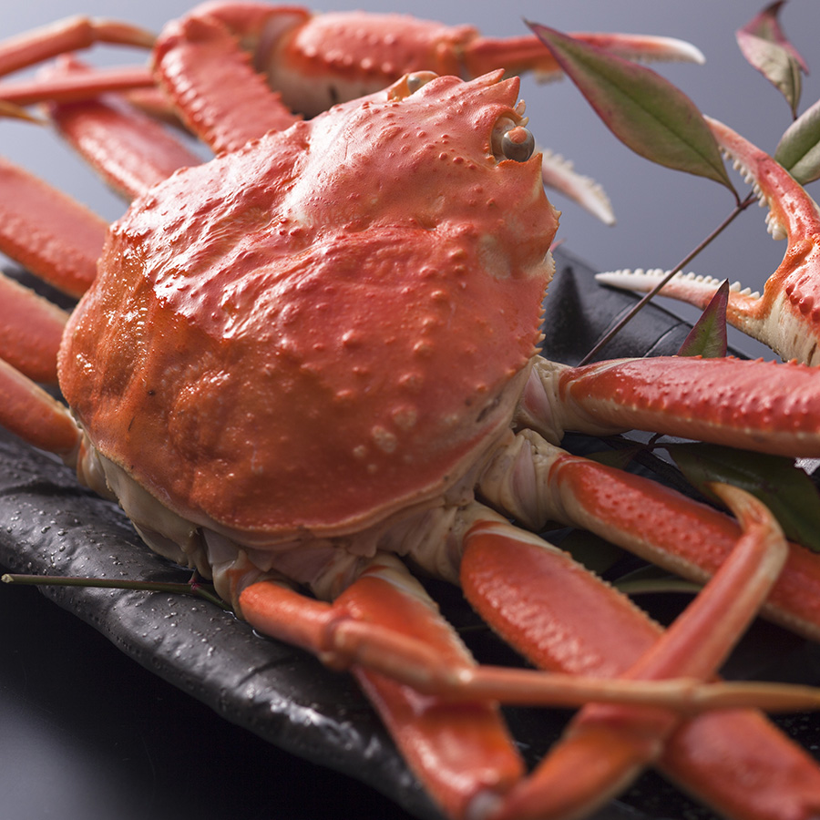 小谷常 山陰産 茹で極撰松葉蟹 1杯 1kg 京都府京丹後市 三越伊勢丹ふるさと納税