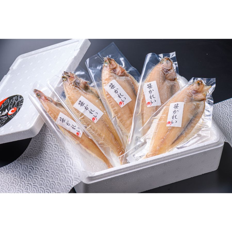 <蟹の匠 魚政>笹カレイ「一夜干し」特大サイズ(200g)× 5尾