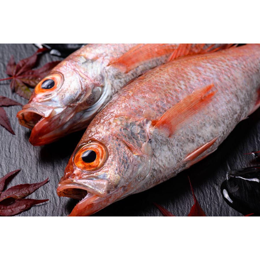 <蟹の匠 魚政>のどくろ「一夜干し」大サイズ(315g)×3尾