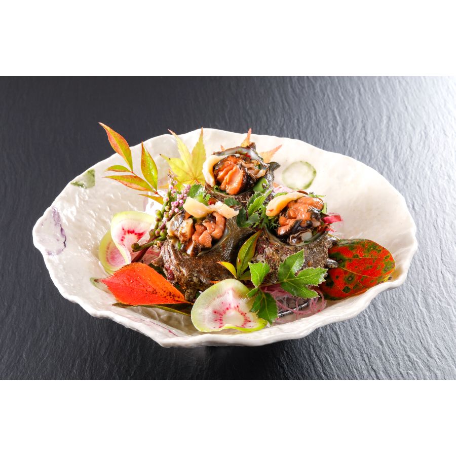 <北畿水産>日本海荒磯育ち京丹後産お刺身さざえ(8個)