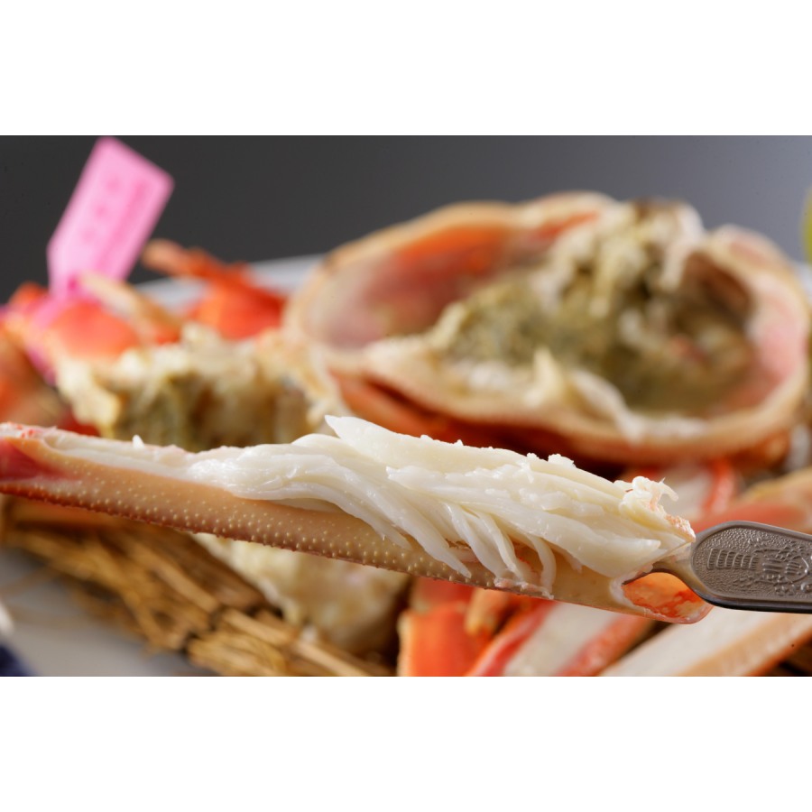 【もったいない！を食べよう】＜北畿水産＞山陰沖「ゆで松葉蟹」（700g～800g/中大サイズ）【1～3月出荷分】