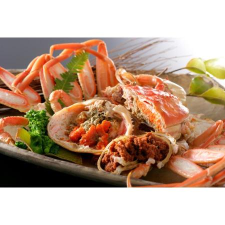 ＜北畿水産＞「釜ゆでせこ蟹」（小サイズ130g～150g×8匹入り）【11月出荷分】