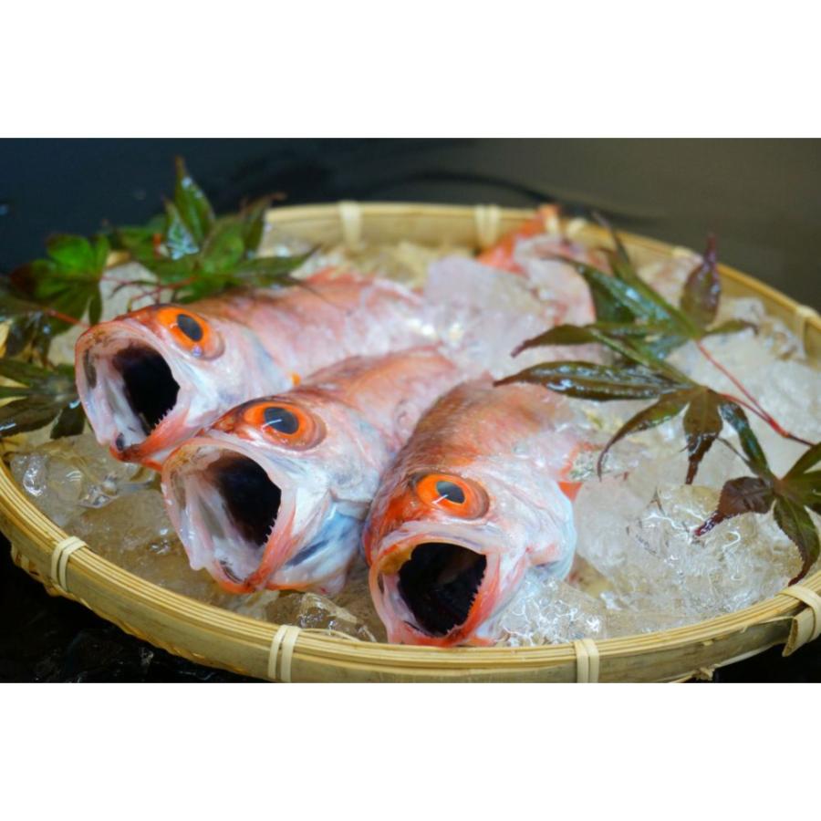 「北畿水産　鮮の匠」のどぐろ一夜干し3匹セット