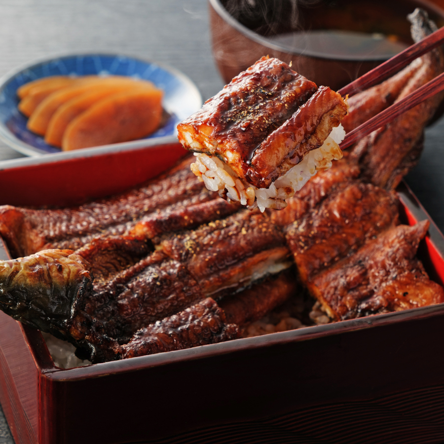 ＜天の酒喰食房＞国産「鰻」蒲焼き1尾（180g）２～3人前