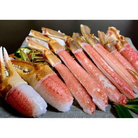 ＜北畿水産＞「ズワイガニ」かにポーションセット超特大5Lサイズ