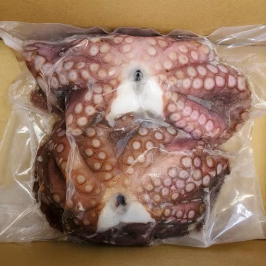 大阪産 泉タコ(生たこ）1.3kg