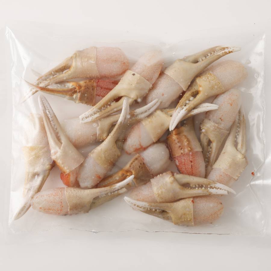 生ずわい蟹 カニ爪肉 500g【8】