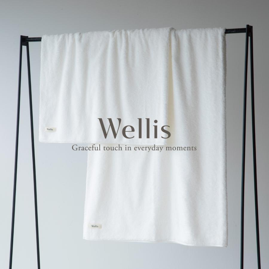 ＜Wellis＞ブランケット１枚（箱入り）（009_8011）