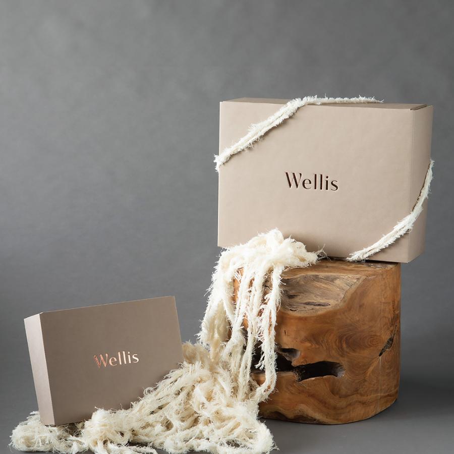 ＜Wellis＞ブランケット１枚（箱入り）（009_8011）