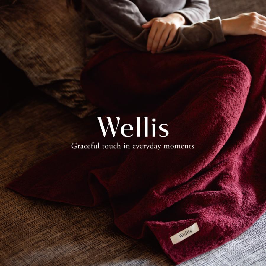 ＜Wellis＞ブランケット2枚（箱入り）（009_8013）