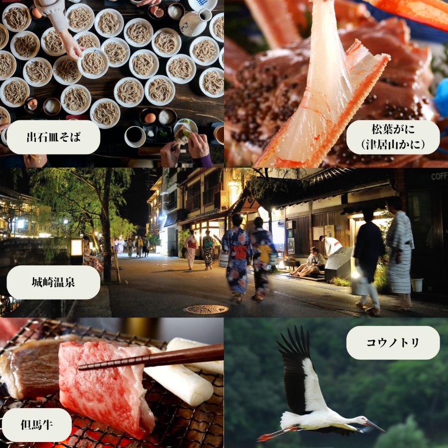 ＜豊岡旅幸券＞  旅行クーポン券9千円分