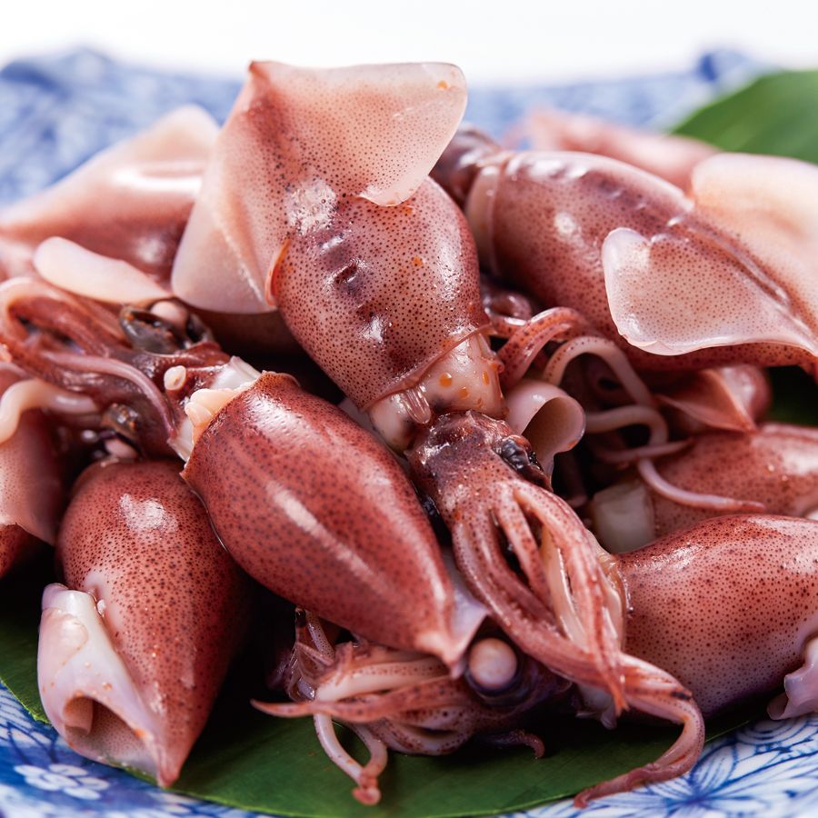 兵庫県香住産生「ほたるいか」1.5kg（250g×6）