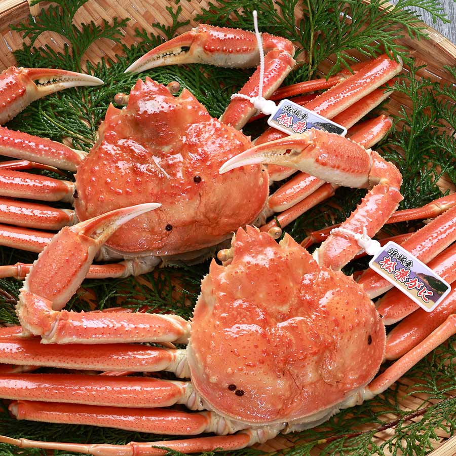 松葉ガニの本場よりプロ茹で松葉ガニ 冷凍 700g 2枚 兵庫県新温泉町 三越伊勢丹ふるさと納税