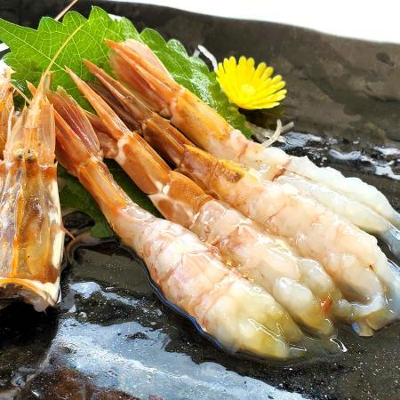 ＜山米鮮魚＞お刺身用ガラエビ(船内冷凍)500g以上