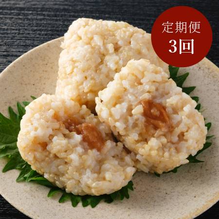 ＜アイガモの谷口＞”農薬不使用栽培米”「玄米おむすび」2種セット（塩・梅）各6個（計12個）【3ヵ月定期便】