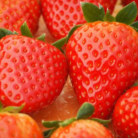 ＜奈良のいちごやさん＞苺「古都華」（特大サイズ）6粒x2パック（計12粒）【三越伊勢丹選定】