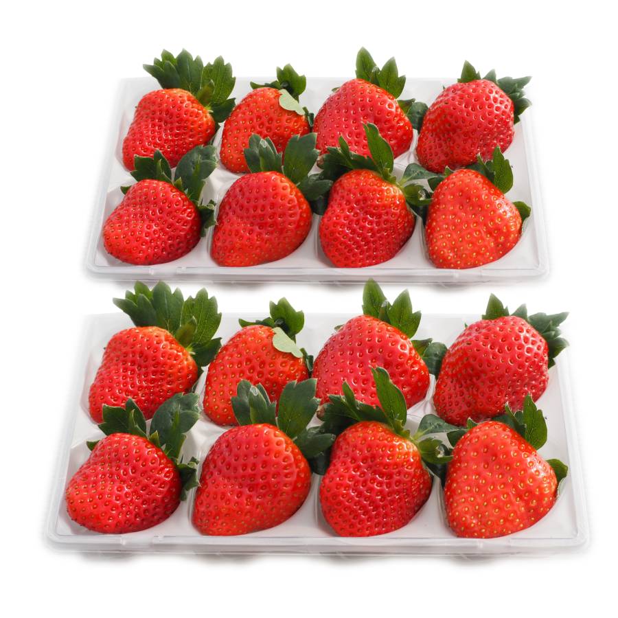 ＜奈良のいちごやさん＞苺「古都華」（大サイズ）8粒ｘ2パック（計16粒）