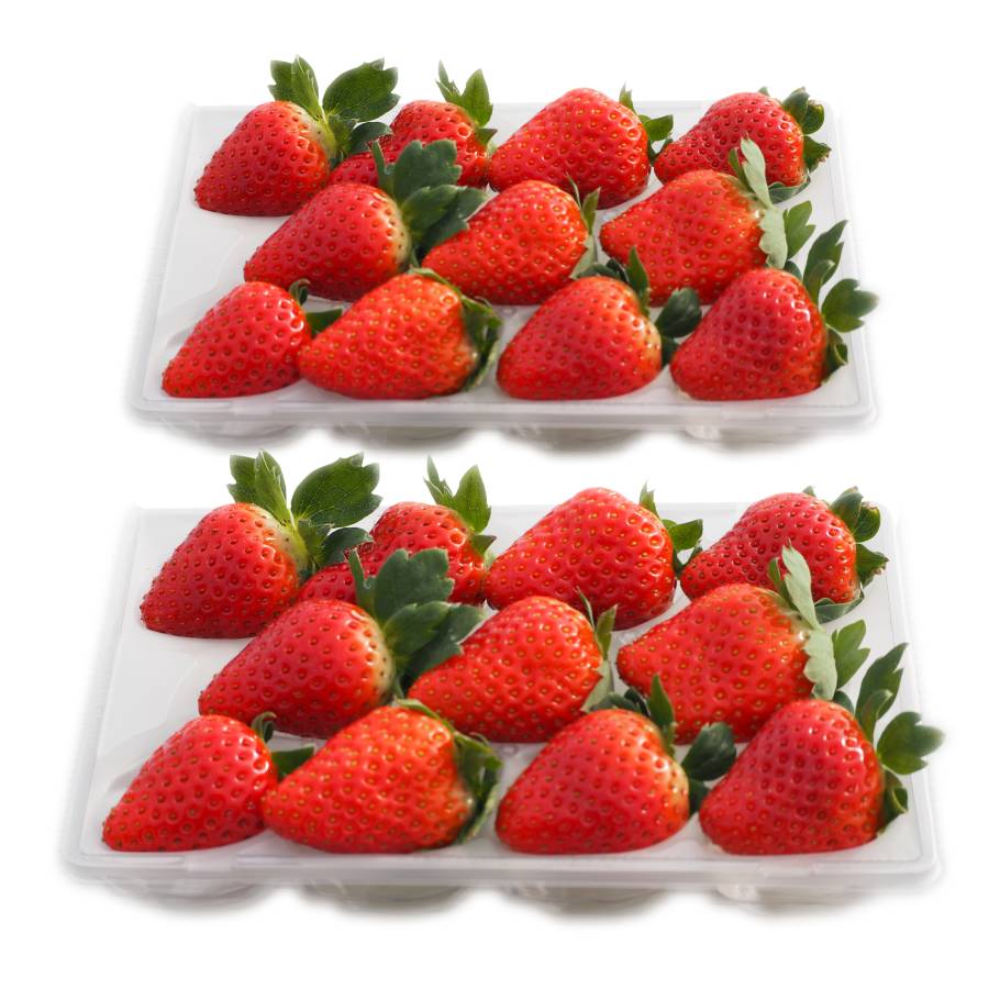 ＜奈良のいちごやさん＞苺「古都華」（中サイズ）9～15粒x2パック（計18～30粒）