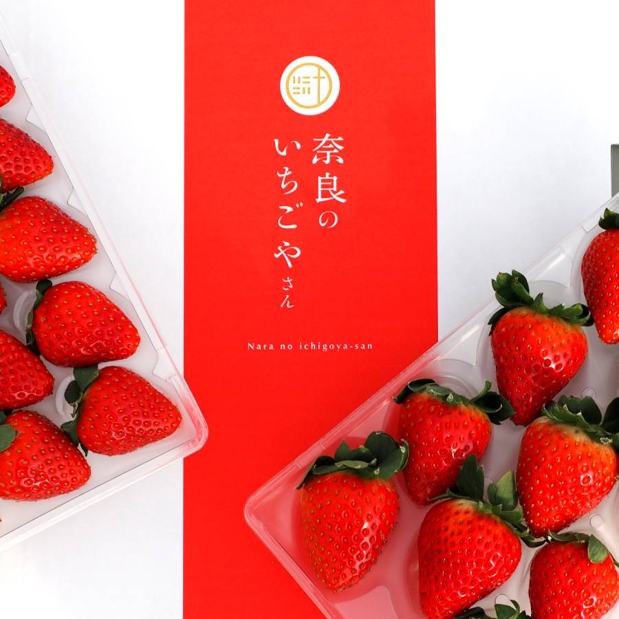 ＜奈良のいちごやさん＞苺「古都華」（中サイズ）9～15粒x2パック（計18～30粒）【3ヵ月定期便】