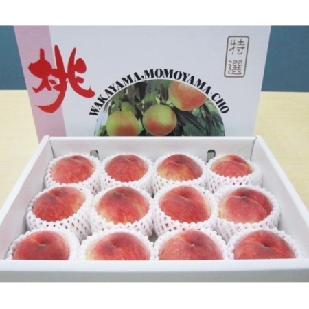 あら川の桃　品種お任せ　3kg　7～12玉