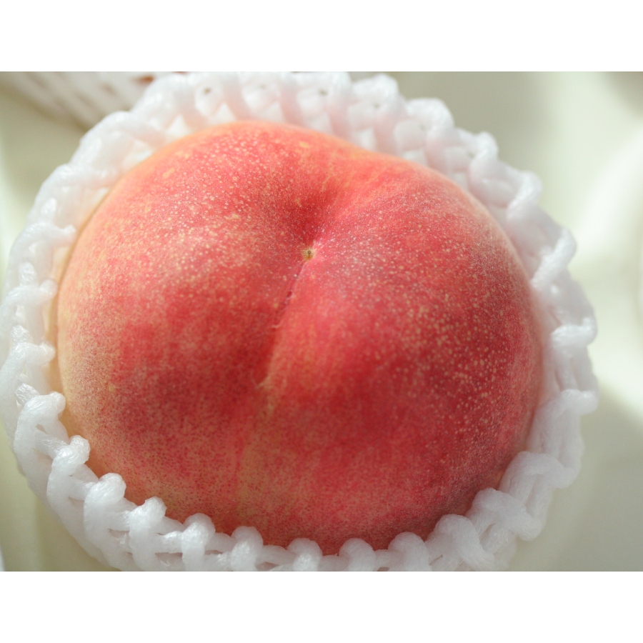 紀の里の桃　品種お任せ　4kg　10～15玉
