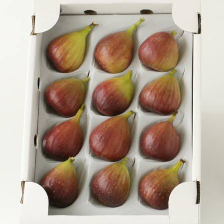 ＜紀のファーム＞秀品いちじく「桝井ドーフィン」1kg（12個）