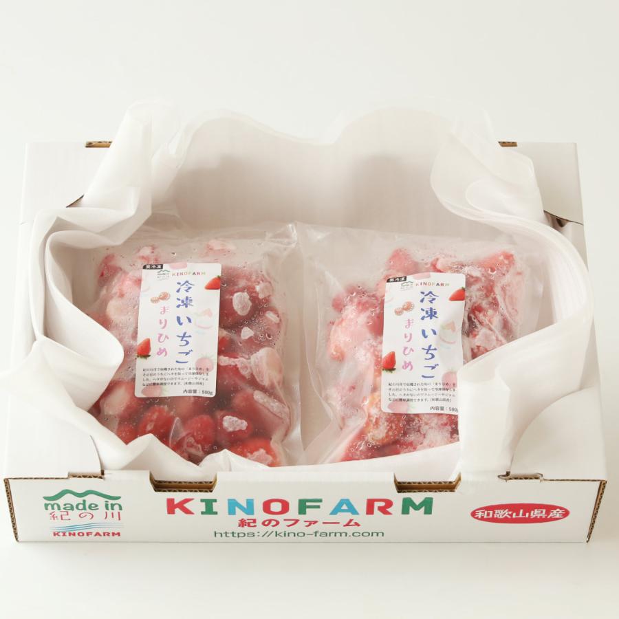 ＜紀のファーム＞冷凍いちご「まりひめ」500gx2（計1kg）【12ヵ月定期便】