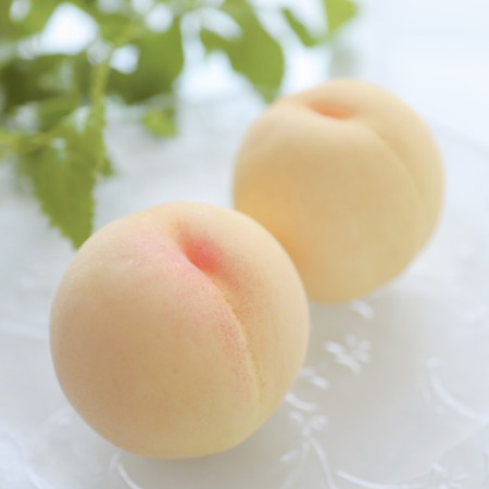 ＜吉田農園＞あら川の桃　清水白桃　特秀２kg