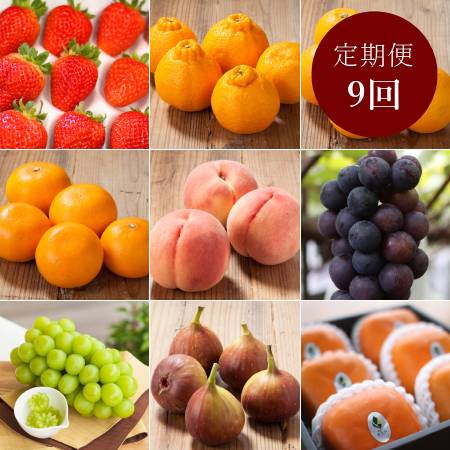 ＜＜観音山フルーツガーデン＞＞「特選・A級品」果物（苺入り）【9回定期便】
