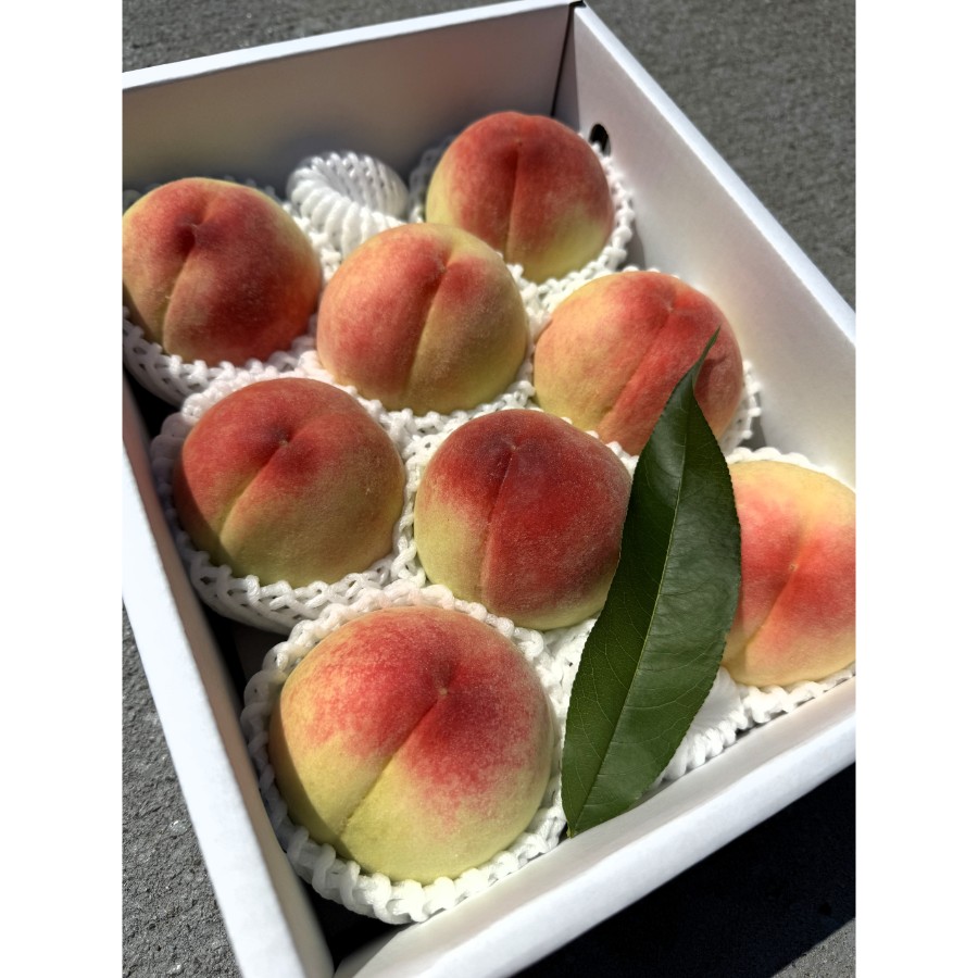 ＜吉田農園＞あら川の桃　白鳳　特秀2kg