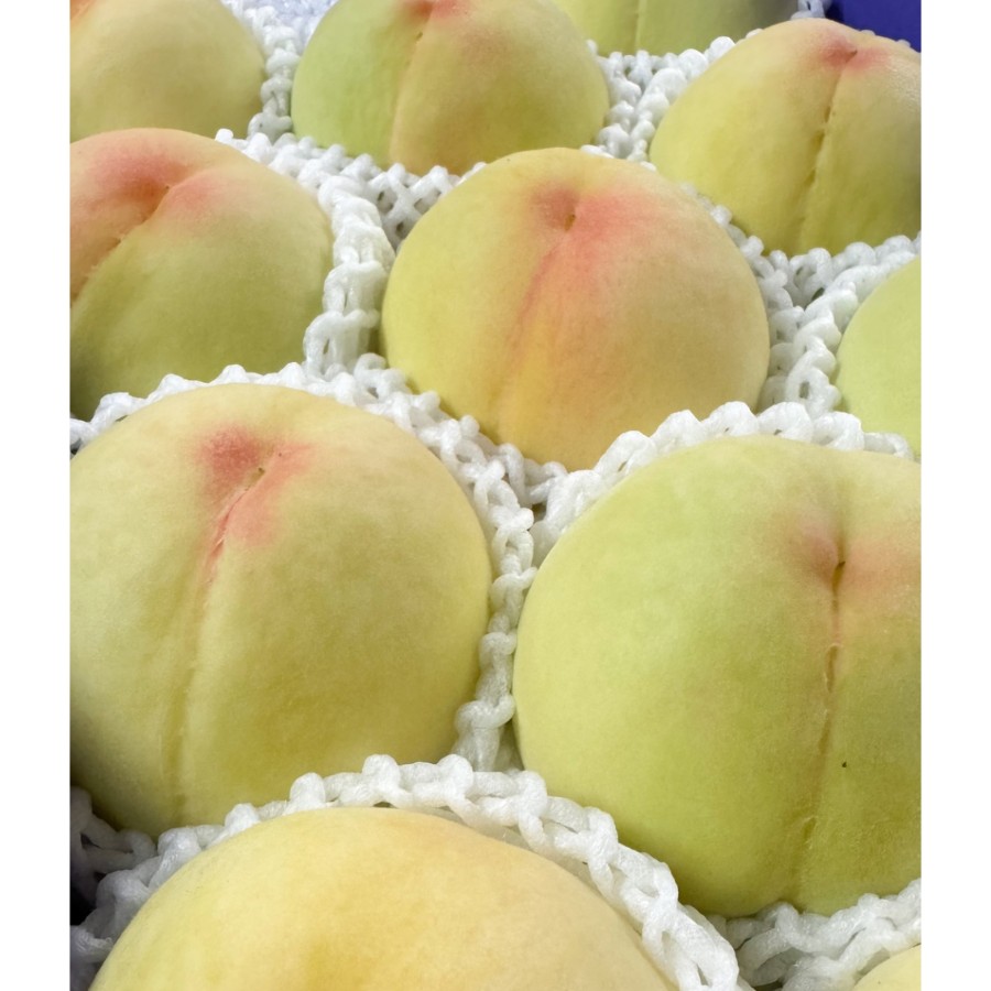 ＜吉田農園＞あら川の桃　清水白桃　特秀2kg