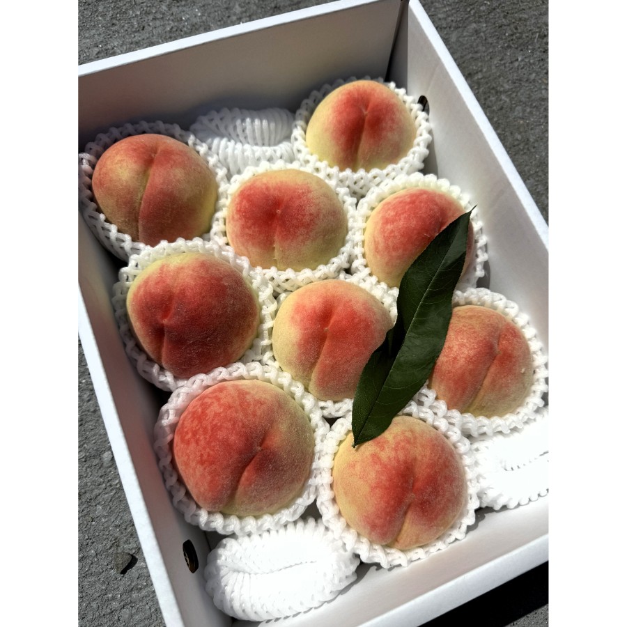 ＜吉田農園＞あら川の桃　白鳳　特秀3kg