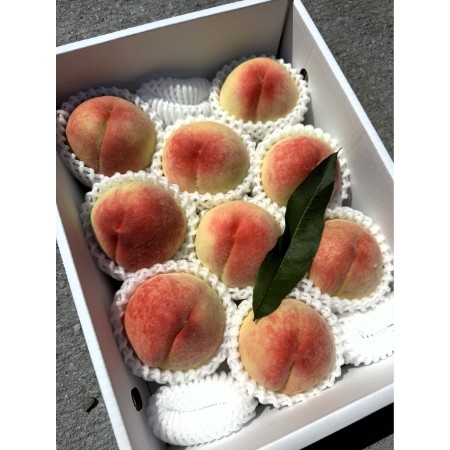 ＜吉田農園＞あら川の桃　白鳳　特秀3kg