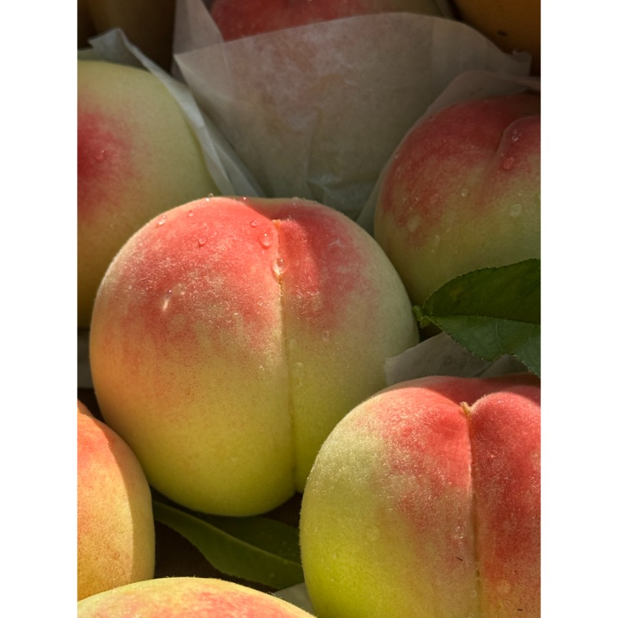 ＜吉田農園＞あら川の桃　白鳳　特秀1kg