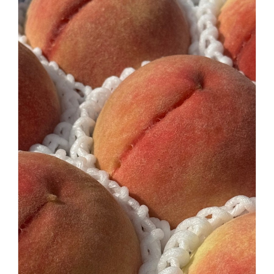 ＜吉田農園＞あら川の桃　川中島白桃　特秀1kg