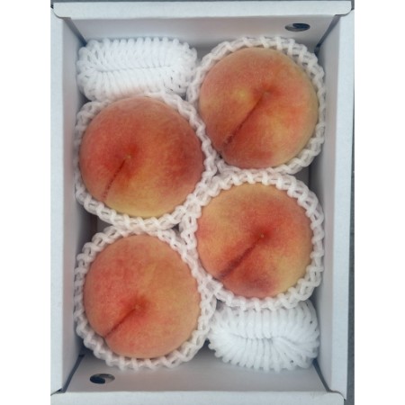 ＜吉田農園＞あら川の桃　川中島白桃　特秀1kg