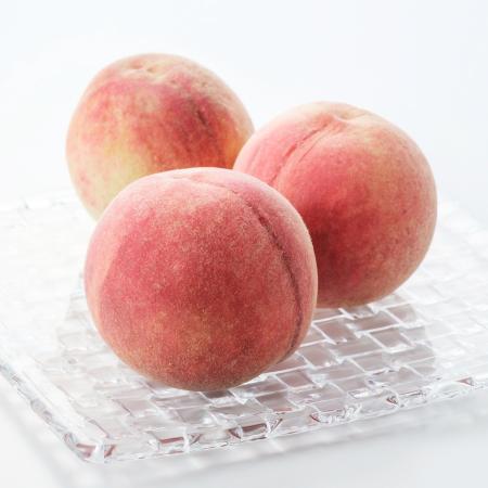 ＜橋村農園＞「川中島白桃　晩生」1.8kg（６～８個入）
