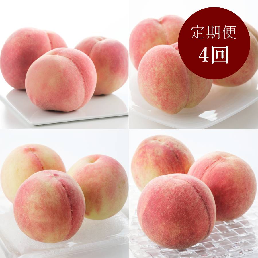 ＜橋村農園＞「旬の桃」４種（日川白鳳・白鳳・なつっこ・川中島白桃）各回1.8kg（６～８個入）【４回定期便】